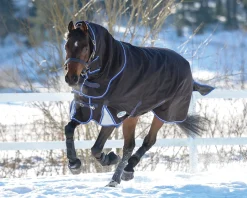 WEATHERBEETA ® ComFiTec™ Ultra Cozi II Detach-A-Neck Medium-Weight Turnout Blanket- Turnout Blankets