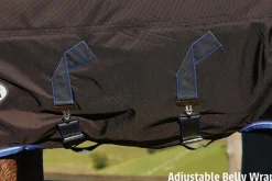 WEATHERBEETA ® ComFiTec™ Ultra Cozi II Detach-A-Neck Medium-Weight Turnout Blanket- Turnout Blankets