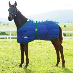 WEATHERBEETA ® Growing Foal 420D Standard Neck Medium-Weight Blanket- Turnout Blankets