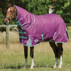 WEATHERBEETA ® Pony ComFiTec™ Premier Free II Detach-A-Neck Medium-Weight Turnout Blanket- Turnout Blankets