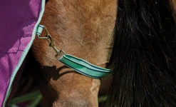 WEATHERBEETA ® Pony ComFiTec™ Premier Free II Detach-A-Neck Medium-Weight Turnout Blanket- Turnout Blankets