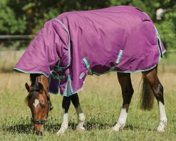 WEATHERBEETA ® Pony ComFiTec™ Premier Free II Detach-A-Neck Medium-Weight Turnout Blanket- Turnout Blankets