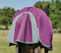 WEATHERBEETA ® Pony ComFiTec™ Premier Free II Detach-A-Neck Medium-Weight Turnout Blanket- Turnout Blankets