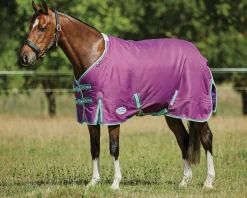 WEATHERBEETA ® Pony ComFiTec™ Premier Free II Standard Neck Lite Turnout- Turnout Blankets