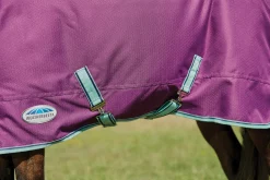 WEATHERBEETA ® Pony ComFiTec™ Premier Free II Standard Neck Lite Turnout- Turnout Blankets