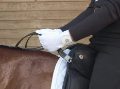 WHINNY WIDGETS Steady Hands- Lunging & Training Equipment