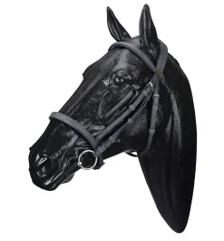 SADDLERY BRANDS INTL Wintec Bridle- English Bridles