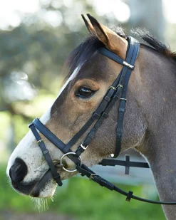 SADDLERY BRANDS INTL Wintec Bridle with Flash- English Bridles