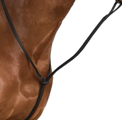 SADDLERY BRANDS INTL Wintec Standing Martingale- Martingales & Breastplates