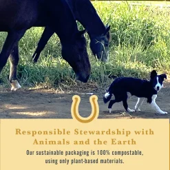 WITHERS & WITHERS Sugar-Free Cinnamon Nutra-Treats for Horses- Horse Treats|Horse Treats